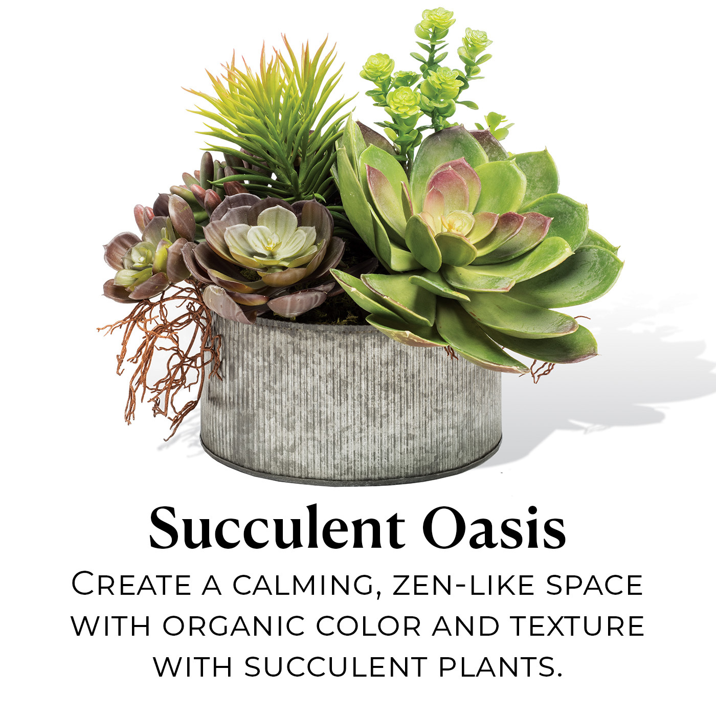 Succulent and Cactus Artificial Plants By Petals: Create a "happy spot" with realistic faux succulent plants that last.