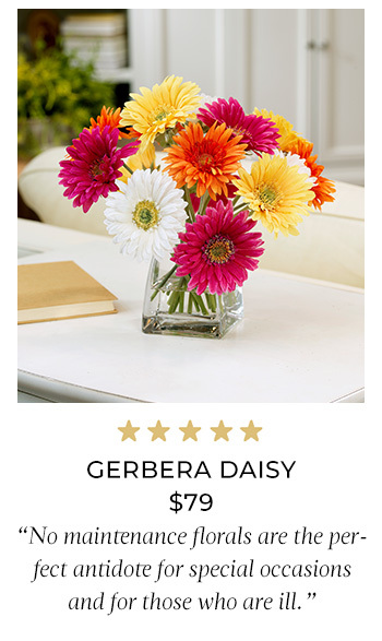 Gerbera Daisy Silk Centerpiece, available at Petals.