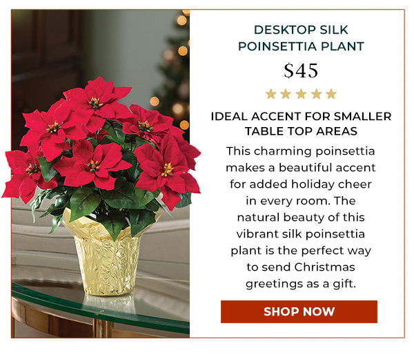 Large Premier Poinsettia Plant