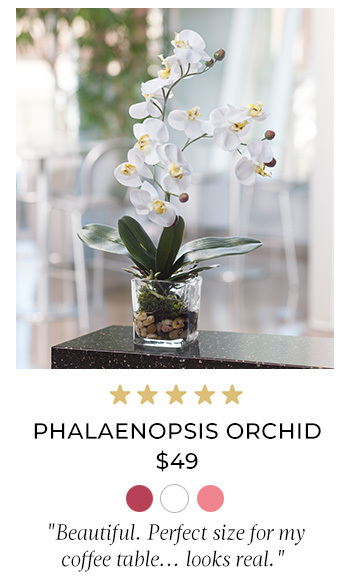 Faux Phalaenopsis Orchid Accent, Available at Petals.
