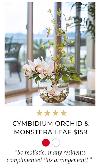 Cymbidium Orchid & Monstera Leaf
