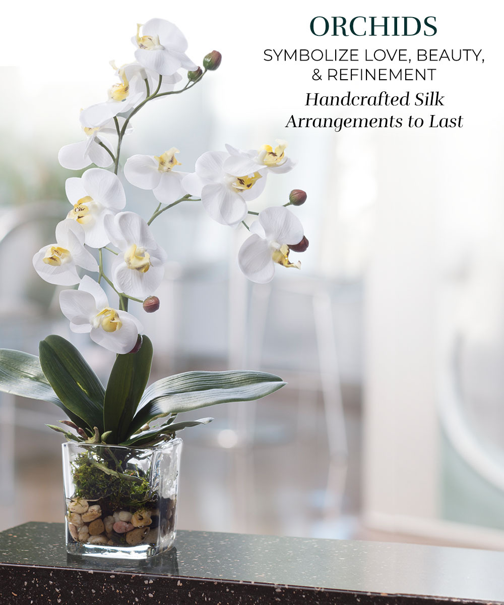 Shop Realistic, Faux Plants, available at Petals.