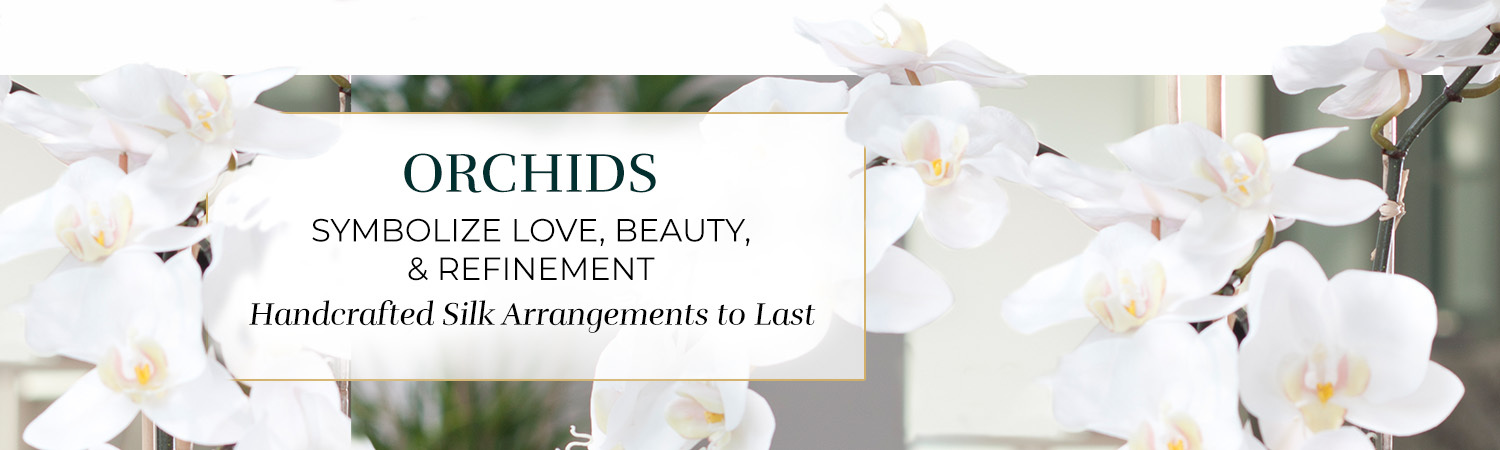Shop Orchids