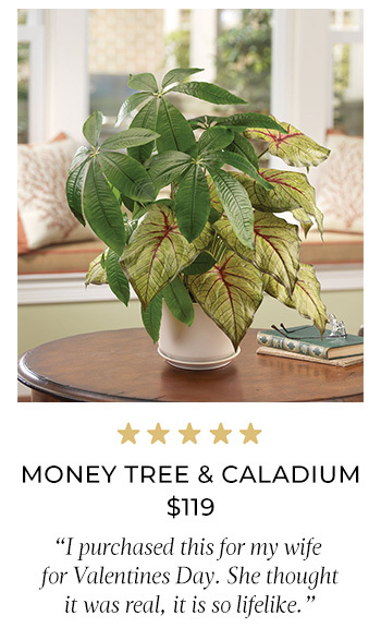 Seeded Schefflera Faux Foliage Planter - $89 - PLD500-GR