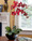 Simple red vanda orchid in stylish black resin container

