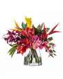 Orchids & Heliconia Tropical Silk Arrangement, by Petals.