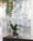 Phalaenopsis Orchid Accent