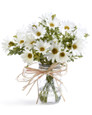 Farmhouse Daisies Silk Flower Arrangement