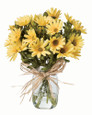 Farmhouse Daisies Silk Flower Arrangement