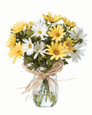 Farmhouse Daisies Silk Flower Arrangement