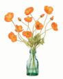 California Poppies Silk Flower Arrangement from Petals.