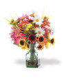Sunflower & Daisy Accent By Petals