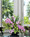 Orchid Centerpiece Faux Flower Arrangement