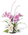 Magnolias & Orchids