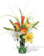 Calla Lily & Day Lily 