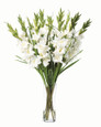 Gladiolus Silk Flower Arrangement