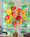 Poppy Plentitude Faux Flower Arrangement, by Petals.