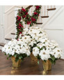 Premier Silk Poinsettia - Large