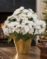 Premier Silk Poinsettia - Large
