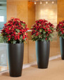 Red silk poinsettia extra large lifelike holiday decor for office