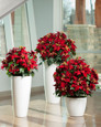 Red silk poinsettia extra large lifelike holiday decor for office