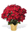 Red silk poinsettia extra large lifelike holiday decor in foil