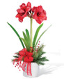 Amaryllis Silk Flower Arrangement in Red.