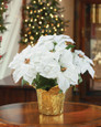 Table Top Silk Poinsettia Plant
