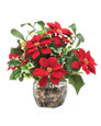 Poinsettia & Holly<br>Silk Holiday Arrangement