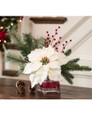Poinsettia Accent 