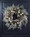 Champagne Elegance 24" Artificial Holiday Wreath