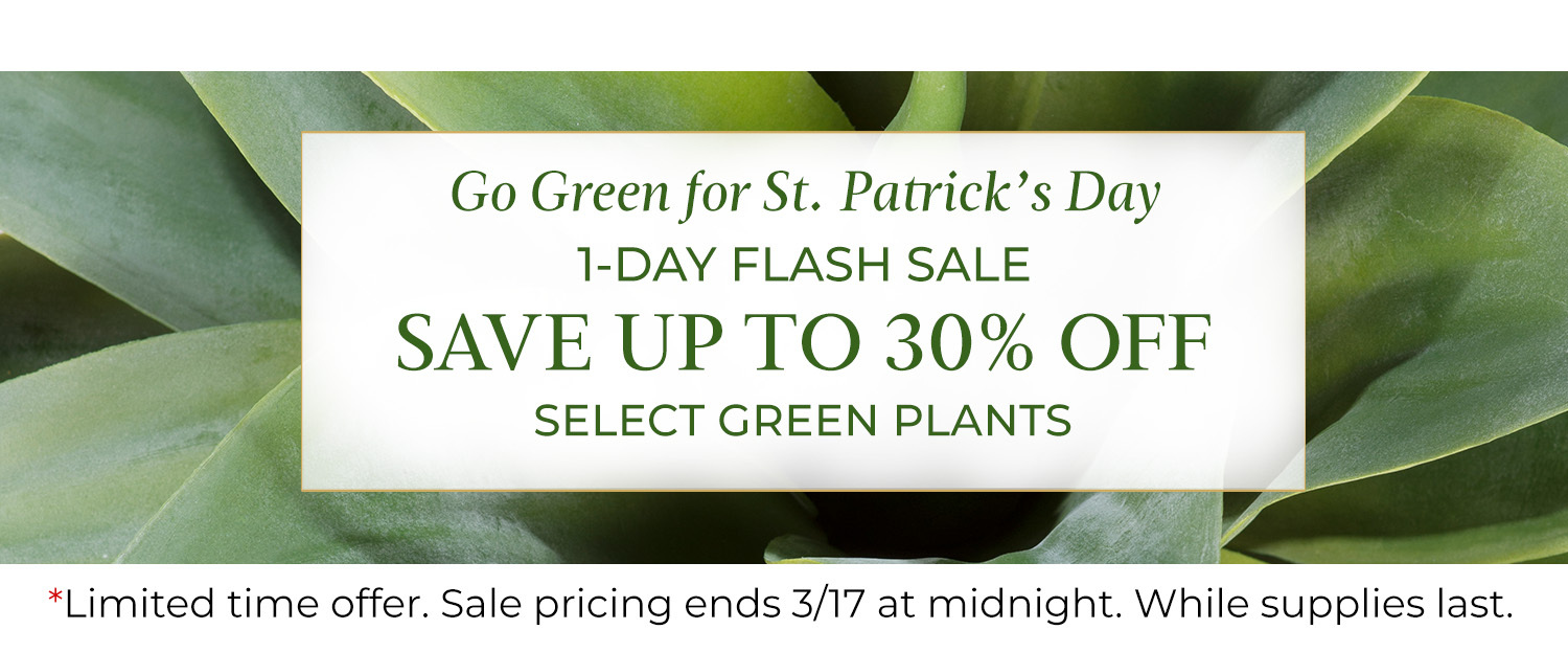 Go Green For St. Patricks Day - 1 Day Flash Sale