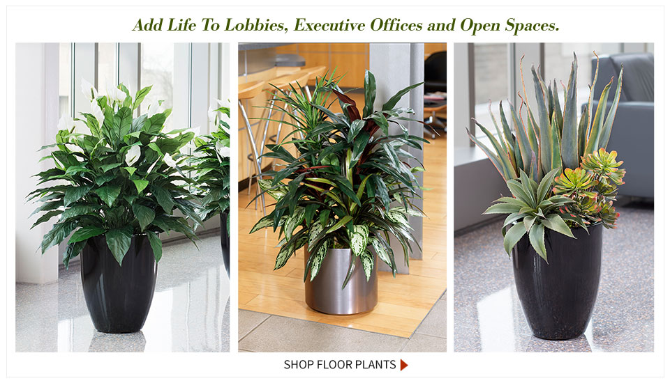 office-dcorate-fifth.jpg