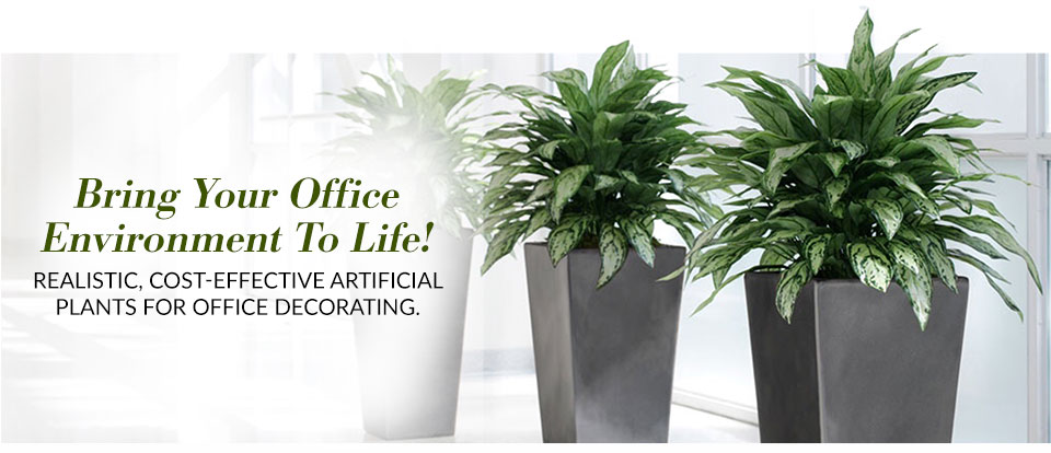 office-dcorate-one.jpg