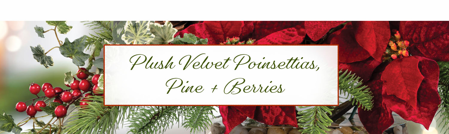 Plush Velvet Poinsettias, Pine & Berries