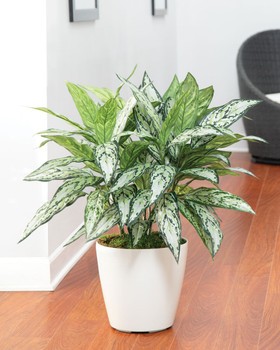 Lifelike Silver Queen Silk Floor Plant by Petals - Faux Floor Plant