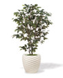 Silk Ficus Bush Plant. Available at Petals.