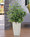 Bushy Ficus Faux Floor Plant, available at Petals.