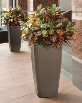 Deluxe Croton Silk Plant, by Petals.