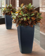 Deluxe Croton Silk Plant, by Petals.