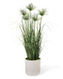 Papyrus Grass Faux Foliage Plant, by Petals.