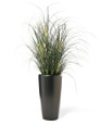 Feather Grass Faux Foliage Plant, by Petals.