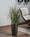 Feather Grass Faux Foliage Plant, by Petals.