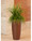 Mixed Grass Plant