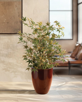 Silk Japanese Maple Floor Plant, by Petals.