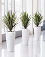 Faux Agave Plant