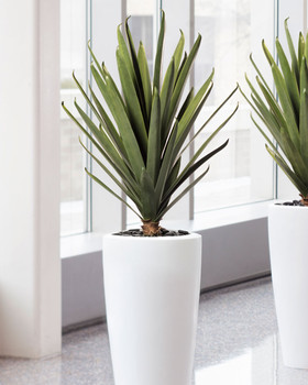 Agave Artificial Plant