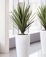 Agave Artificial Plant