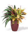 Aspidistra & Croton Faux Floor Plant by Petals.