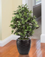 Faux Olive Bush Plant. Available at Petals.